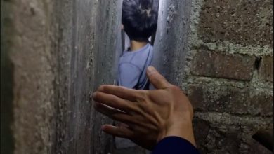 Photo of 躲狗钻墙缝出不来！ 男童险缺氧 消防员破墙救人