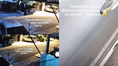 Photo of 卖玉蜀黍被拒 少年骑脚车连刮汽车报复