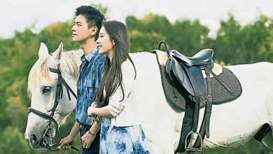 Photo of 《去有风的地方2》原班人马复制神话  刘亦菲李现接邀约