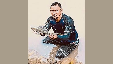 Photo of 捕捞队1年捉75吨 清道夫鱼侵西马河流
