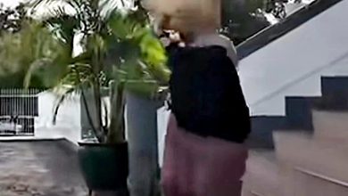 Photo of 收贿500元被控 前女公仆判罚款1800