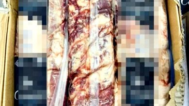 Photo of AKPS扣查逾一吨违例冷冻肉 总价值超过13万