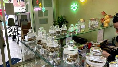 Photo of 娱乐用途全禁 泰只限医药用大麻
