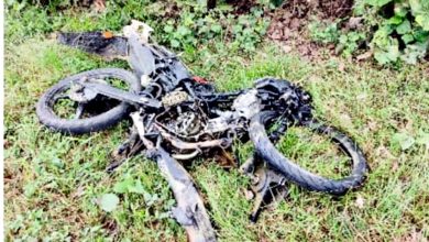 Photo of 上班遇死神拦路 女骑士遭罗里辗毙