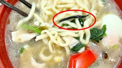 Photo of 食客不滿板面捞出蜈蚣 业者：已全面消毒重做