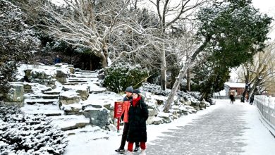 Photo of 冻雨风雪袭中国 新疆最低-40度