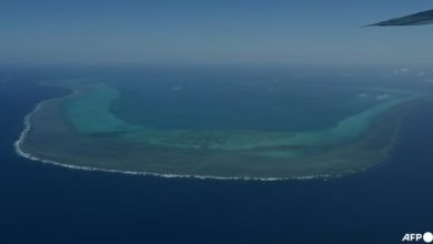 Photo of 狮城注册货船 南中国海沉没 2遇难4失踪