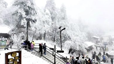 Photo of 中国四川峨眉山全山寺院 永久免费开放
