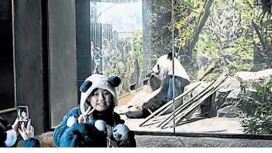 Photo of 最后一天会客 日民众不舍晓晓蕾蕾