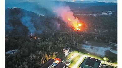 Photo of 乌雪县一天两林火 15英亩森林成焦土
