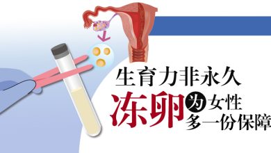 Photo of 【生育专题】生育力非永久 冻卵为女性多一份保障