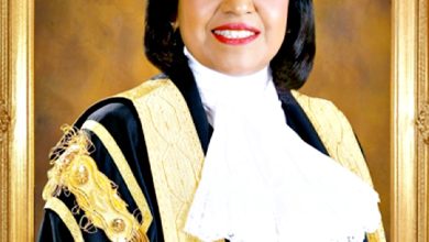 Photo of 法律领域贡献杰出 总检署表扬娜莉妮