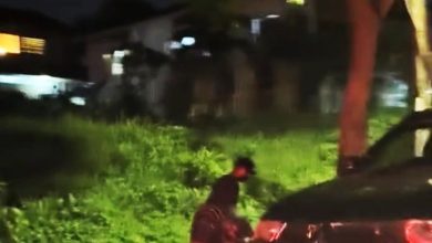 Photo of 犯罪组织SS3住宅区偷电缆 警追查嫌犯
