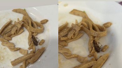 Photo of 险吞下肚!  台立院媒体餐叙  豆干肉丝现”炒熟蟑螂”