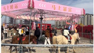 Photo of 真马当“旋转木马”？西安景区挨轰 虐待动物紧急叫停