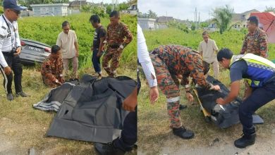 Photo of 轿车罗里相撞致叔侄3人死亡 家属急寻行车记录仪