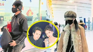 Photo of 《临江仙》演员游韩国 白鹿曾舜晞被送作堆