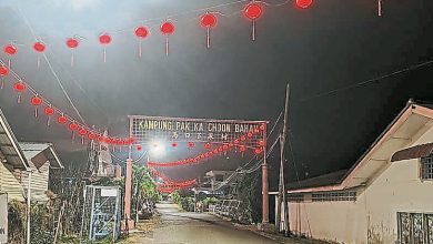 Photo of 村委会布置迎新春 350红灯笼耀百家村