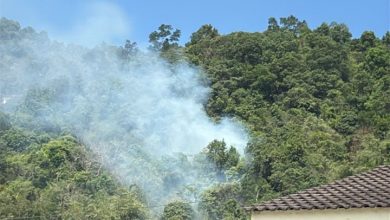 Photo of 升旗山山脚火灾 0.4公顷林地受损