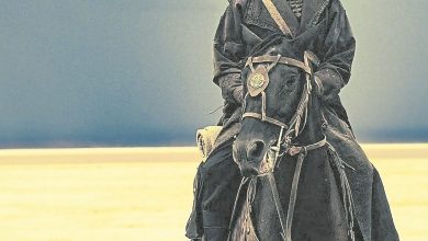 Photo of 谢霆锋拍《镖人》对马毛过敏