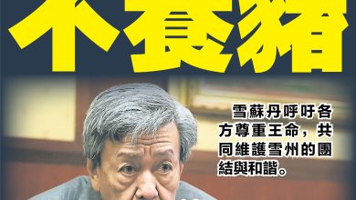 Photo of 雪苏丹反对养猪 建议进口满足非穆需求