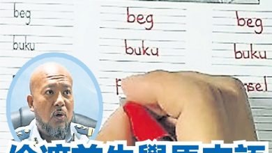 Photo of 非法移民偷渡前先学马来语    集团手法精密  高科技避逮捕
