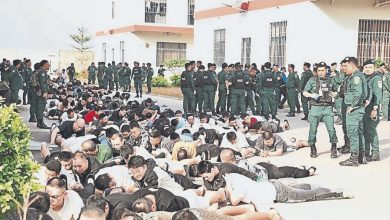 Photo of 柬捣电诈园区捕2044人    中国籍占多数 包括1大马人