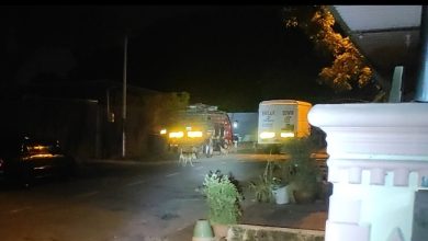 Photo of 凌晨狗吠扰民 威省市厅捕捉3野狗