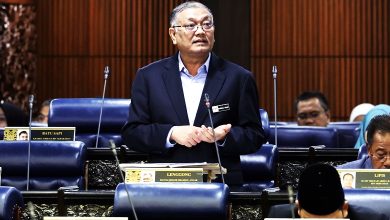 Photo of 囯会〡副內長：政府部门保留人工办理 MyDigital ID不会取代大马卡