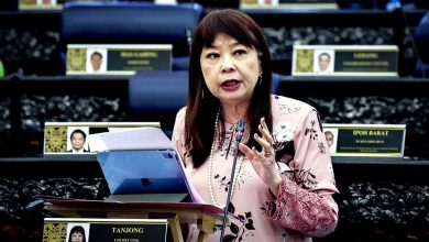 Photo of 国会〡林慧英:防范网络性剥削 国家儿童政策强化数字安全