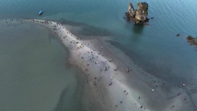 Photo of 交怡“海路”现身 千人跨海朝圣