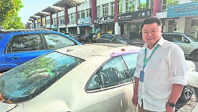 Photo of 汉都亚再也市会射鸦 为期1个月 听枪声勿慌