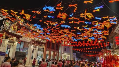 Photo of 大山脚旧街场首办庙会 303鱼灯寓意年年有余
