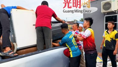 Photo of 狂风暴雨袭太平及武吉干当 树木连根拔起压毁屋车