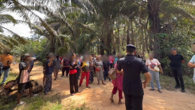 Photo of 侵入彭亨苏丹土地 21原住民遭逮捕