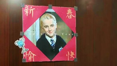 Photo of 哈利波特反派“马尔福” 成中国马年吉祥物 网笑:马上有福
