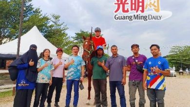 Photo of 居林金丝园瓦迪安诺马场 结合马术与疗法 助各年龄学员身心成长