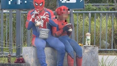 Photo of 找吃好难 外甥女扮“蜘蛛侠” 舅舅被警告