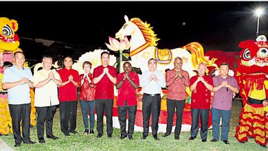 Photo of 芙国会议员服务中心打造 罗白广场新春灯饰揭幕