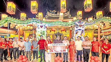 Photo of 志元堂春节灯饰亮灯 陆兆福拨款5万支持发展