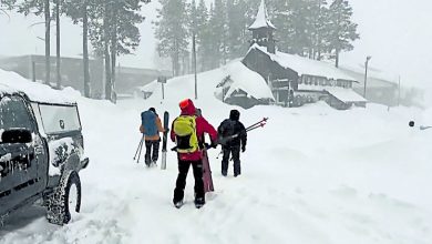 Photo of 加州雪崩夺8命1人失踪