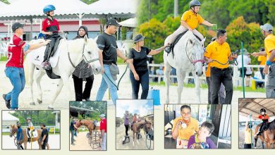 Photo of 马背上的温柔使命 特殊儿骑出生命奇迹