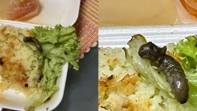 Photo of 买蜜汁鸡饭送活虫 女网民: 一句对不起都没有