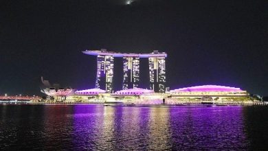 Photo of 中国公民狮城金沙酒店赌博后跳楼身亡 使馆提醒：跨境赌博违法