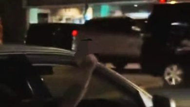 Photo of 亮巴冷刀比不雅手势 警已鉴定男司机身份