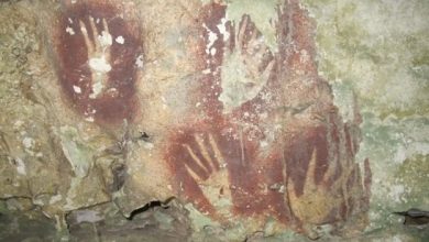 Photo of 印尼洞穴发现6.78万年前“红手印” 成最古老洞穴壁画
