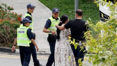 Photo of 过马路被撞女死母伤 肇事女司机被捕