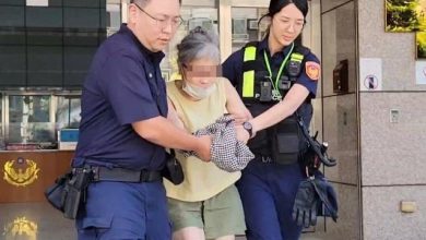 Photo of 台捷运被踹老妇现况曝光！ 上庭称精神分裂不敢再搭捷运
