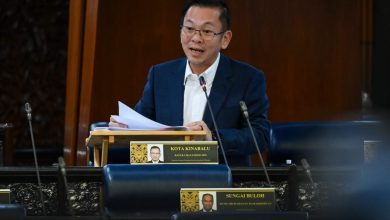 Photo of 陈泓缣：4.5亿推Pengganda30 放眼2030年前牛羊肉自给率50%