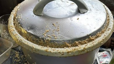 Photo of 女子控诉室友卫生恶劣 任由电饭锅滋生蛆虫